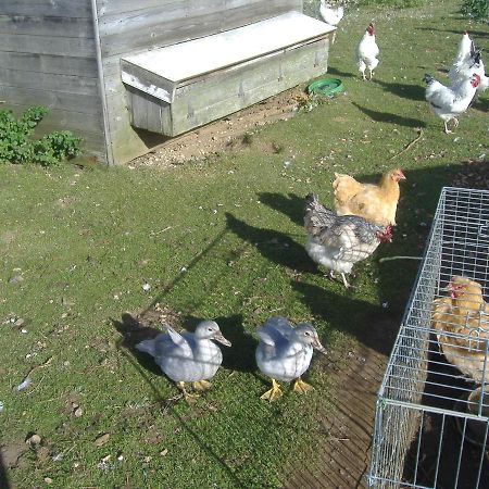 スカーバラ South Moor Farm Bed & Breakfast エクステリア 写真